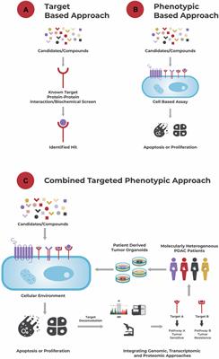 Context Matters—Why We Need to Change From a One Size Fits all Approach to Made-to-Measure Therapies for Individual Patients With Pancreatic Cancer